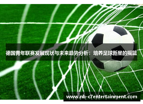 德国青年联赛发展现状与未来趋势分析：培养足球新星的摇篮