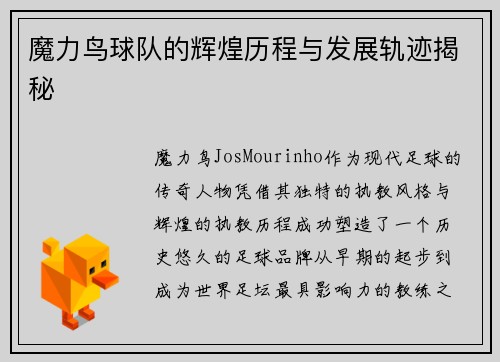 魔力鸟球队的辉煌历程与发展轨迹揭秘